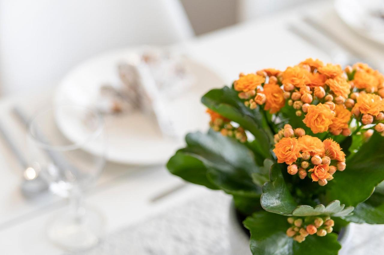Vasko Luxurious Suites, Kelo Rovaniemi Kültér fotó